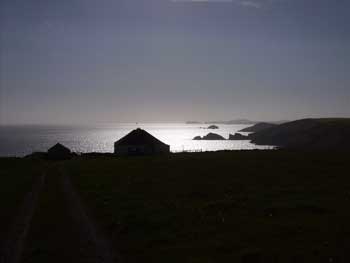 Silver-sunset[22949617]